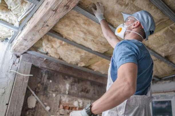 Best Spray Foam Insulation in Vinton, TX