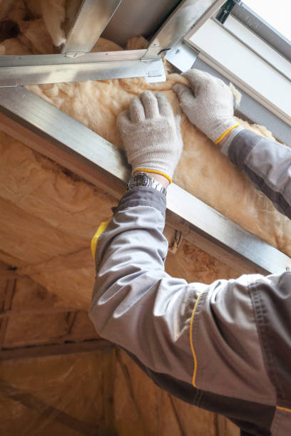 Best Insulation Maintenance and Repair in Vinton, TX