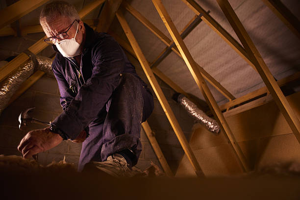 Best Eco-Friendly Insulation in Vinton, TX